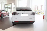 Model X